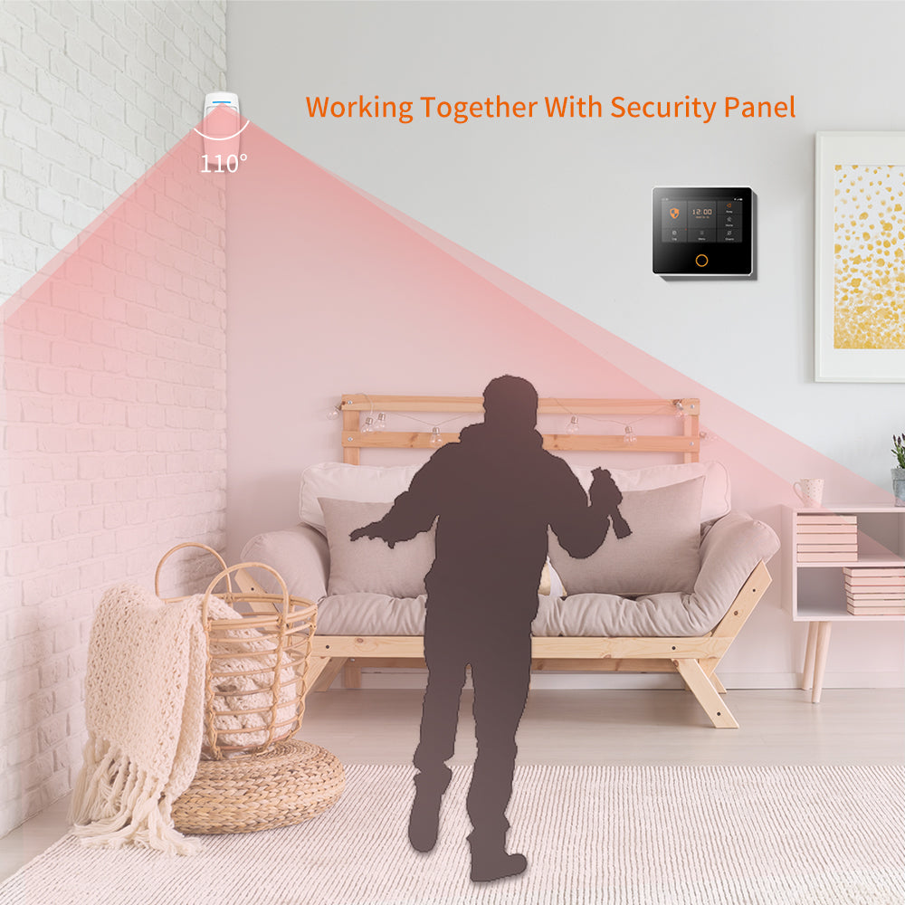 Motion Sensor PR100