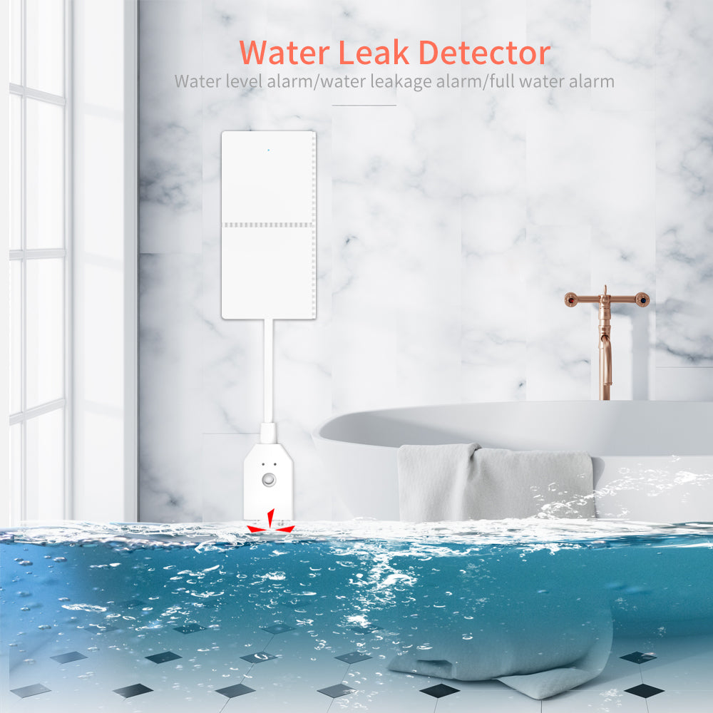 Flood Detector