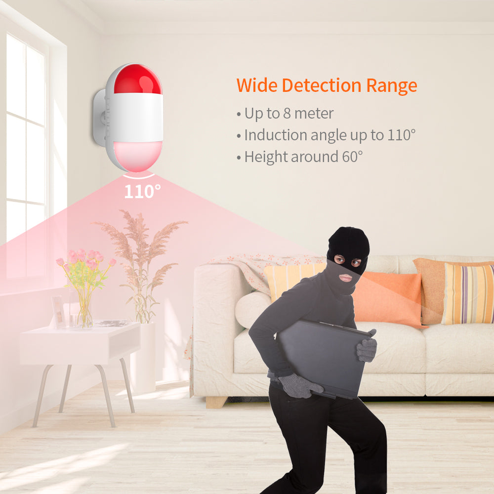 Motion Sensor with Siren