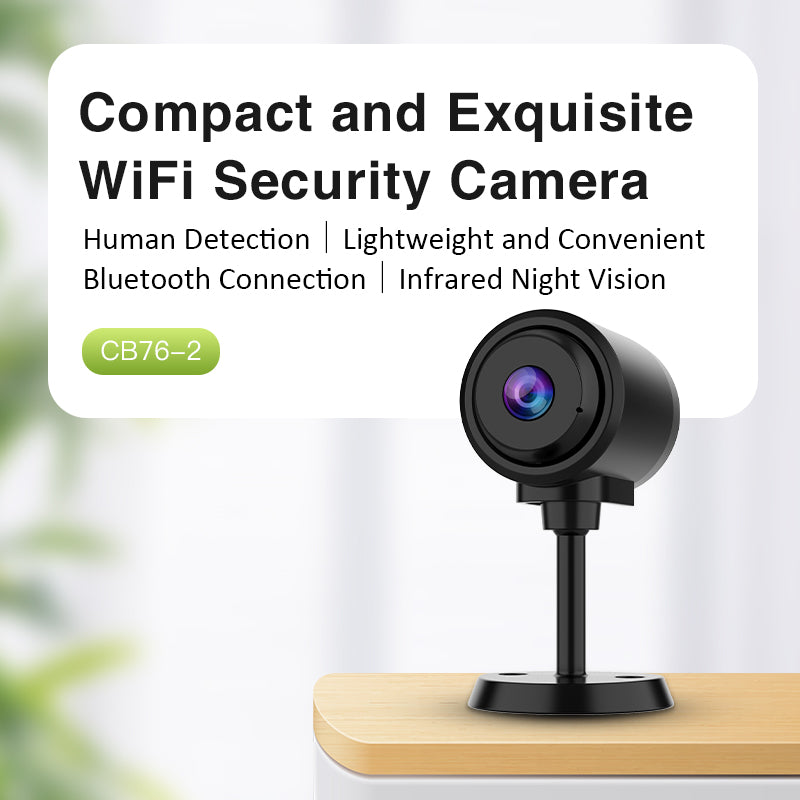 Camera WiFi Mini 110