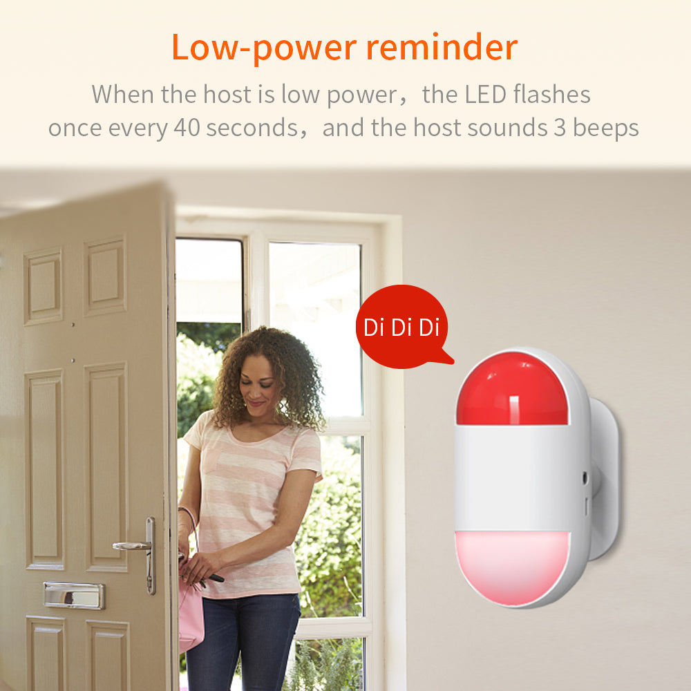 Motion Sensor with Siren